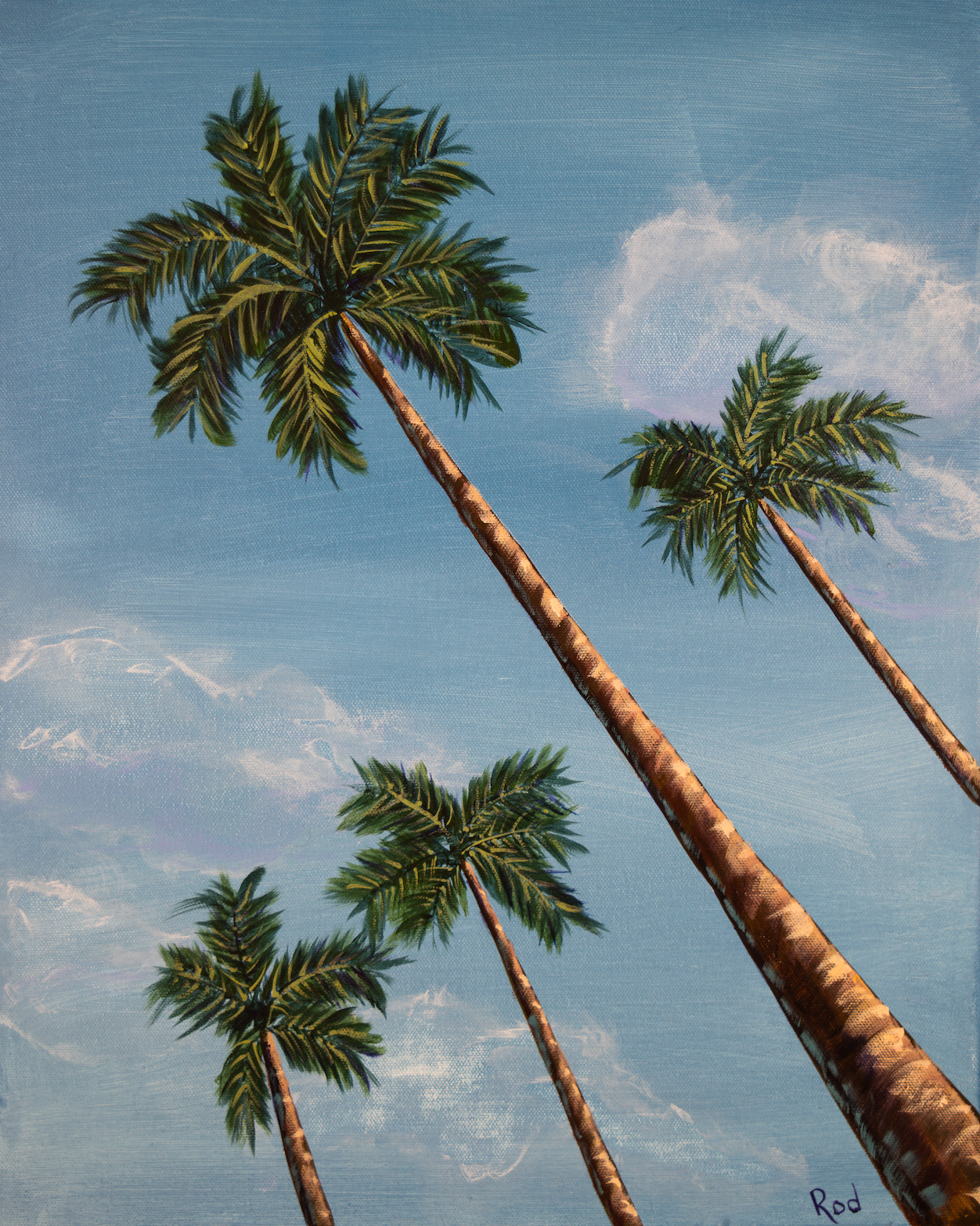 Palm Trees